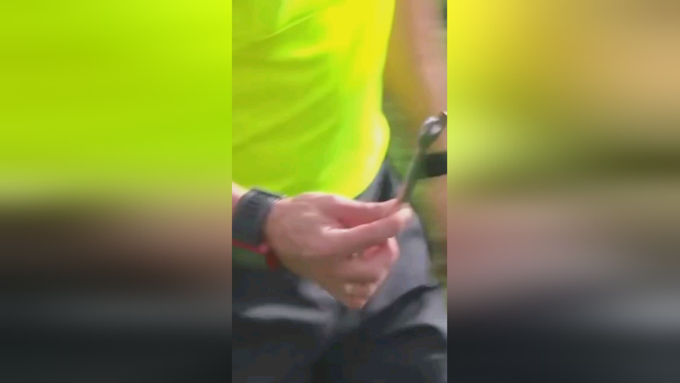 的球