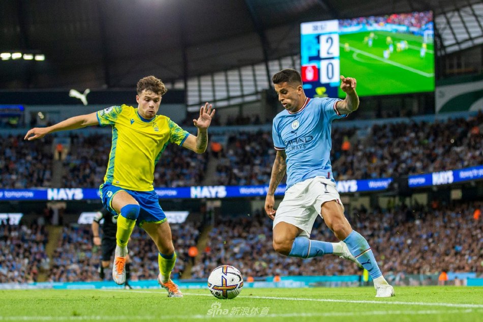 球队的核心 球队的核心