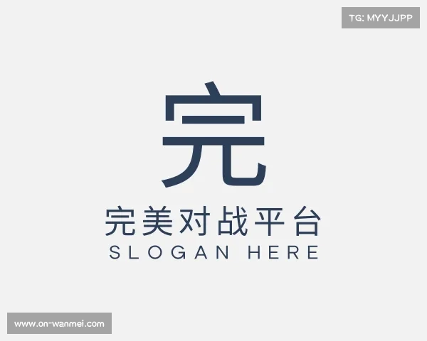 了解完美对战平台官网
